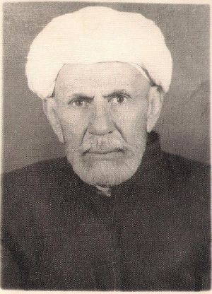 ملا سيد احمد الفيلسوف (1).jpg